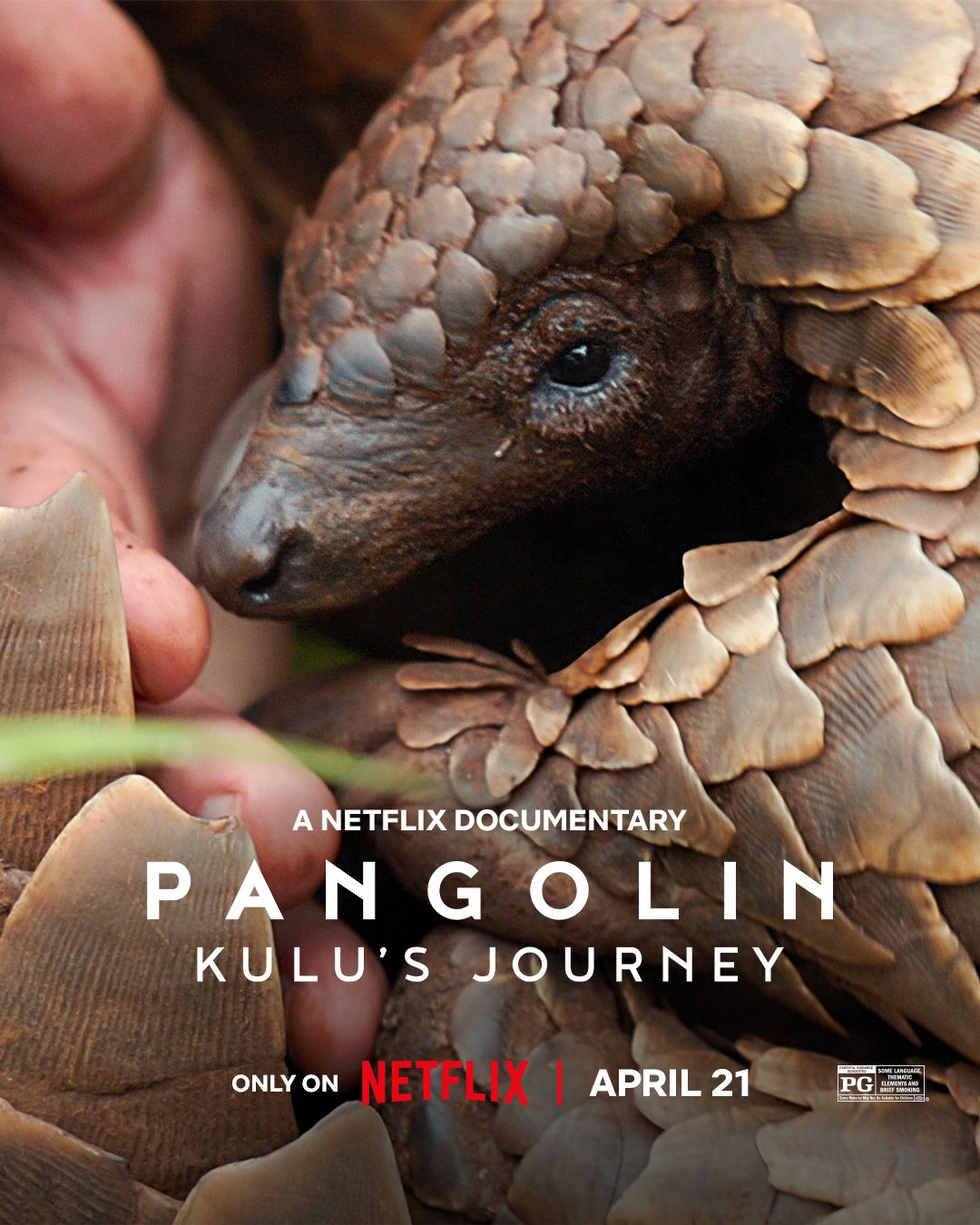 Pangolin: Kulus Journey (2025) Hindi Dubbed HDRip