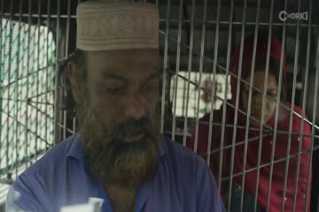 movie_title