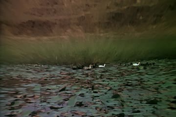 movie_title
