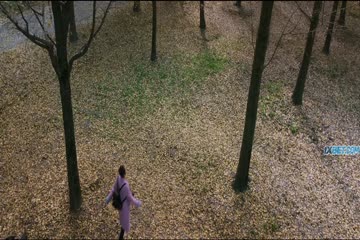 movie_title