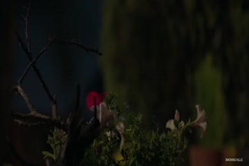 movie_title