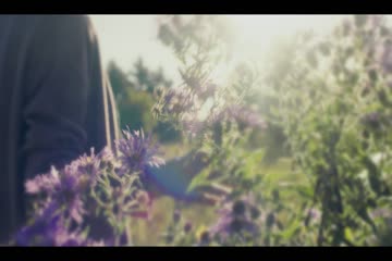 movie_title