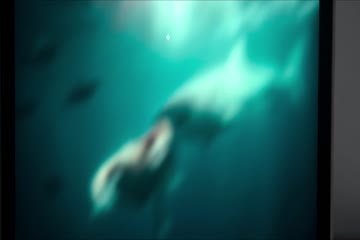 movie_title